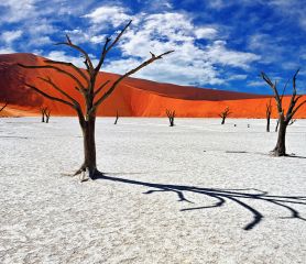Екскурзия до Намибия. Приключението на живота!