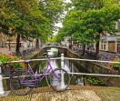 Амстердам - в страната на лалетата