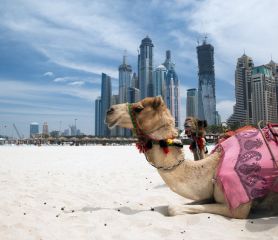 Почивка в ДУБАЙ - 6 дни, с полет на Fly Dubai! - за датa на отпътуване 13.04.2024 г.!