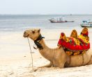 Нова Година 2026 в Шарм ел Шейх, Египет със самолет от София - 5 нощувки