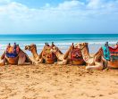 Нова Година 2026 в Шарм ел Шейх, Египет със самолет от София - 4 нощувки