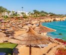 All Inclusive Почивка в Шарм ел Шейх  - полет от София - 10 нощувки
