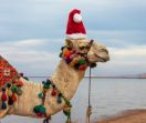 Нова Година - Чартър до Шарм ел Шейх от Варна
