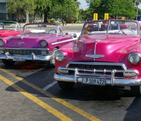 От ВАРНА: КОЛОРИТЪТ НА КУБА