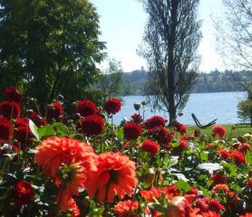 Бодензее - Баварски замъци - Залцбург - Мюнхен