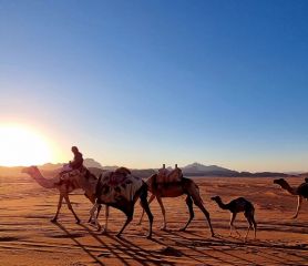 Йордания - четиридневна