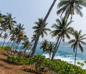 Екскурзия в ШРИ ЛАНКА - класически тур и почивка, с водач от България!