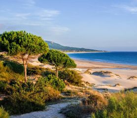 НОВА ГОДИНА в южна Испания, на брега на Испанските Кариби - Кадис и Коста де ла Лус! С включена обиколка на Кордоба и Мадрид!