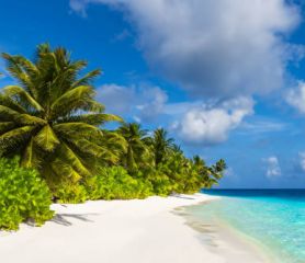 Круиз „Карибски хоризонти- Море, слънце и мечти“ -ПОТВЪРДЕНА ГРУПА! - 21.01.2026