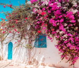 Ранни записвания Лято 2026! Почивка на о.Джерба, Тунис със самолет от София - 7 нощувки!