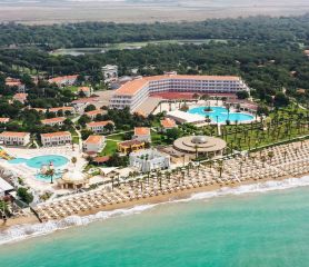 SELECTUM NOA BELEK