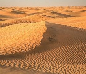 Обиколка на Северен Тунис 2025 с полет от Пловдив