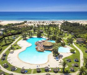 Sentido Phenicia Superior