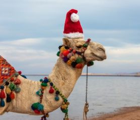Нова Година - Чартър до Шарм ел Шейх от Варна