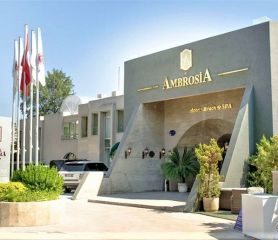 AMBROSIA